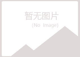 伊春新青雅彤服务有限公司